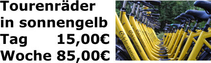 Tourenrder in sonnengelb Tag      15,00 Woche 85,00